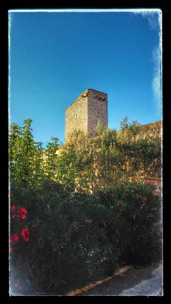 23.8.2014 torre de cal Franquesa  Santa Fe -  Ramon Sunyer