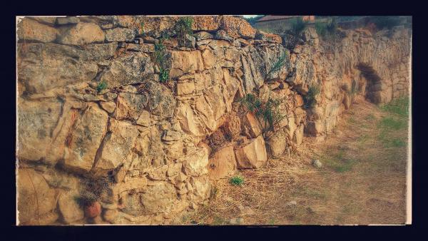 8.9.2014 aqüeducte dels frares, canalitzava l'aigua al convent  Torà -  Ramon Sunyer