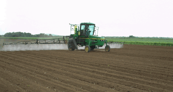 Com a alternatives a l’ús d’herbicides  i la crema es proposà la rotació de conreus -  Com a alternatives a l’ús d’herbicides  i la crema es proposà la rotació de conreus -