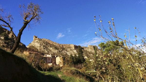 16 de Novembre de 2014 Torre albarrana  Castellfollit de Riubregós -  Ramon Sunyer