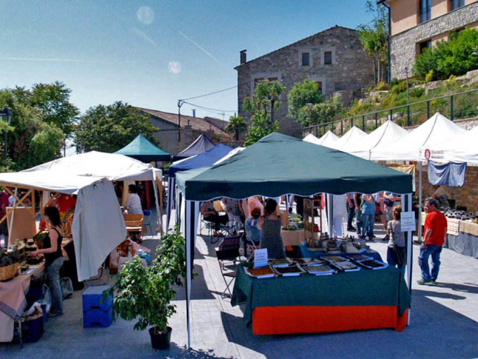 9.6.2014 - 4t Mercat de les espècies - Argençola - Jaume Enrich