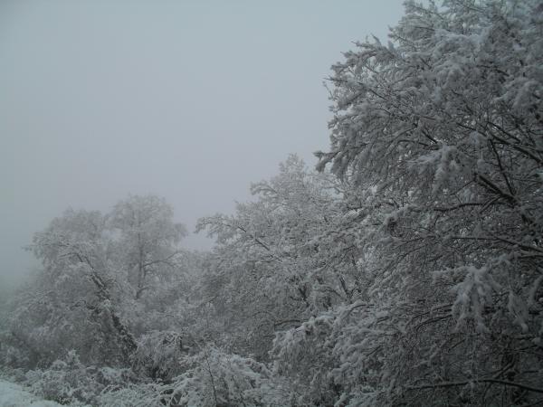 12.12.2014 Gospí nevat.  Gospí -  Sílvia Peribáñez