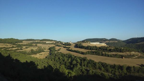 16 de Agost de 2014 Paisatge  L'Albió -  Ramon Sunyer