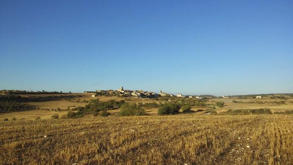 16.8.2014 Paisatge  L'Ametlla de Segarra -  Ramon Sunyer