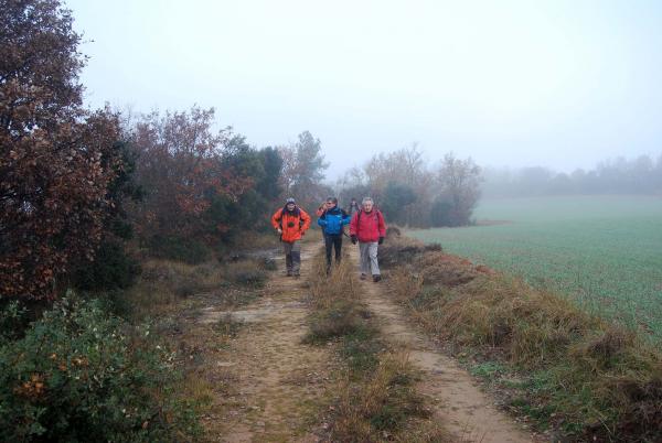 21.12.2014 anant fent camí  Llanera -  Ramon Sunyer