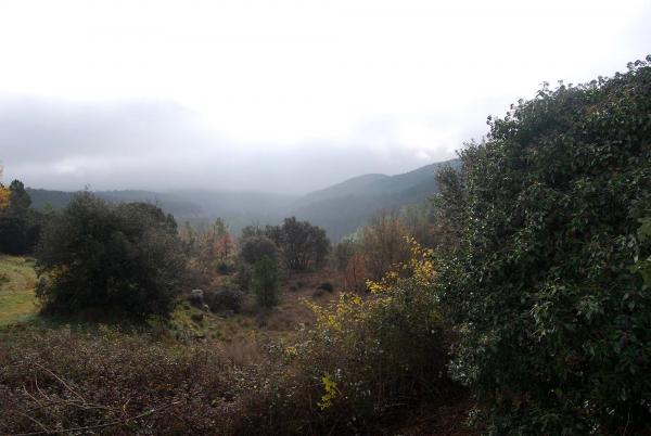 21 de Desembre de 2014 Vista de la vall  Llanera -  Ramon Sunyer