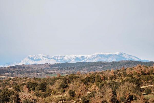 31.1.2015 El Pirineu nevat  Sant Serni -  Ramon Sunyer