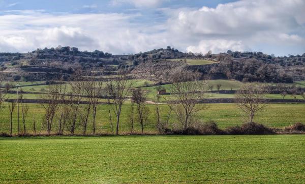 21.2.2015 Paisatge  Sant Pere dels Arquells -  Ramon Sunyer