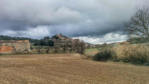 12.2.2015 Paisatge  Freixenet de Segarra -  Ramon Sunyer