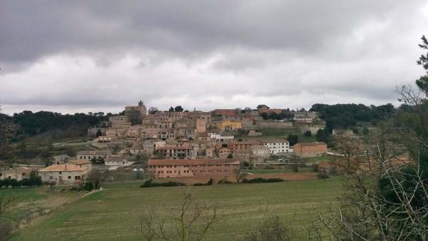 12.2.2015 Vista general  Freixenet de Segarra -  Ramon Sunyer