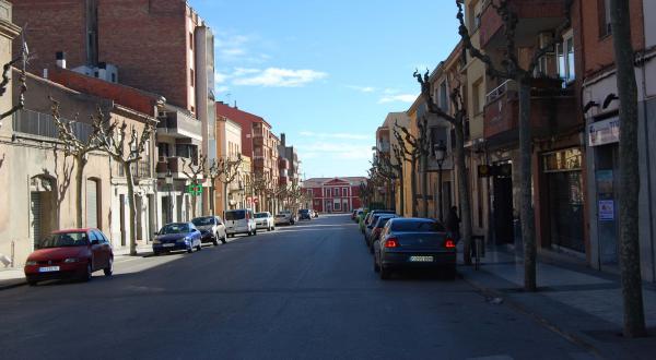 2.2.2015 Passeig de santa Calamanda   Calaf -  Ramon Sunyer