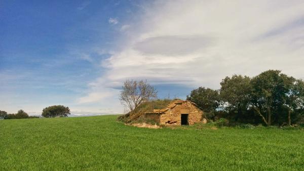 29.3.2015 sembrats  Castellnou d'Oluges -  Ramon Sunyer