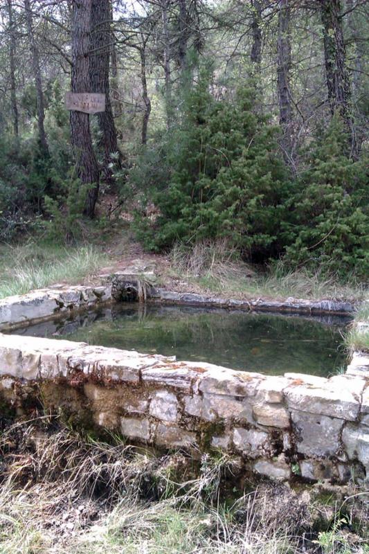 30.3.2015 - Font dels Senglars - Els Plans de Ferran - El Trill
