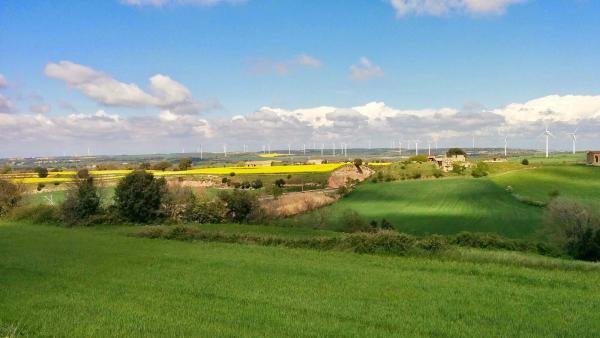 20 de Abril de 2015 camps a l'altiplà  Sant Guim de Freixenet -  Ramon Sunyer