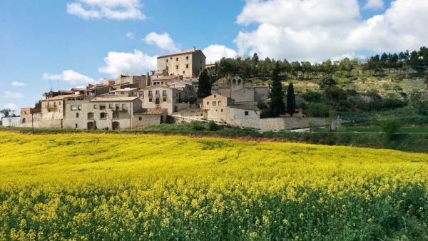 18.4.2015 La primavera crea postals pròpies  Estaràs -  Ramon Sunyer