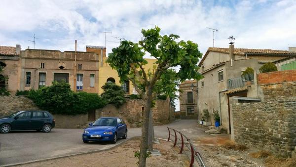 2 de Maig de 2015 plaça  Gra -  Ramon Sunyer