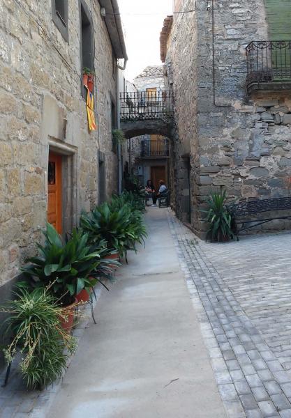 28.8.2014 carrer  El Llor -  Ramon Sunyer