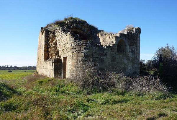 25 de Gener de 2013 Santa Maria de Tauladells  Gra -  Isidre Blanc