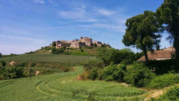 10.5.2015 vista general  Bellmunt de Segarra -  Ramon Sunyer