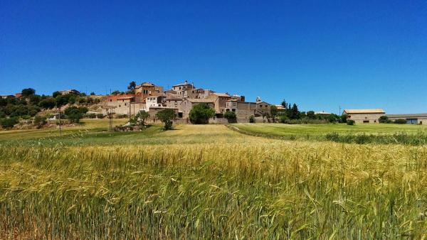 17.5.2015 Vista des del sud  La Rabassa -  Ramon Sunyer