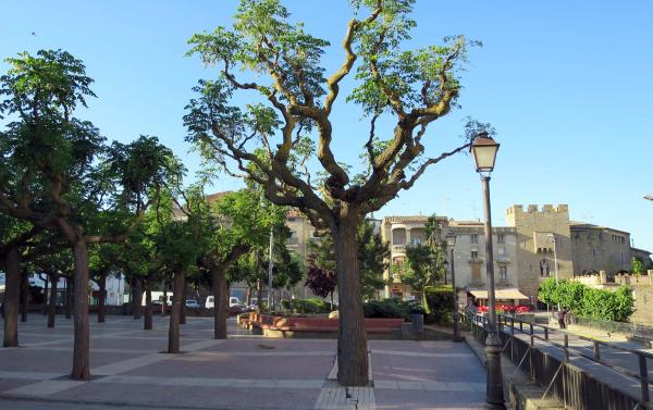 5.6.2015 Plaça del Vell Pla  Guissona -  Turisme Guissona