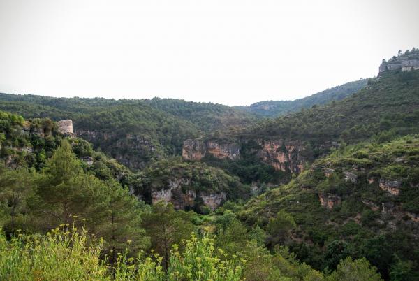 14.6.2015 El castell al congost  Santa Perpètua de Gaià -  Ramon Sunyer