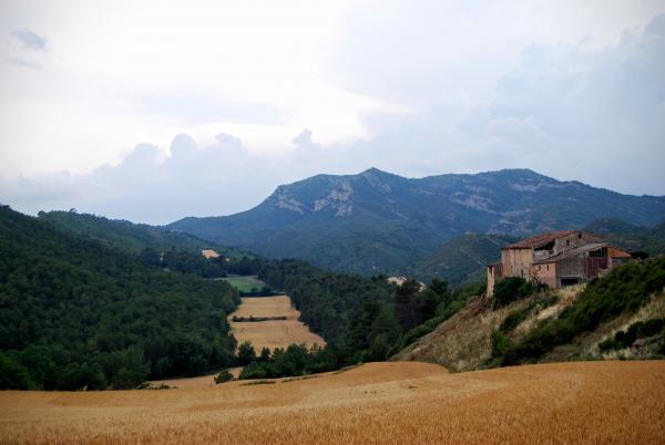 14.6.2015 Vista del Montclar des de la pista de Biure  Biure de Gaià -  Ramon Sunyer