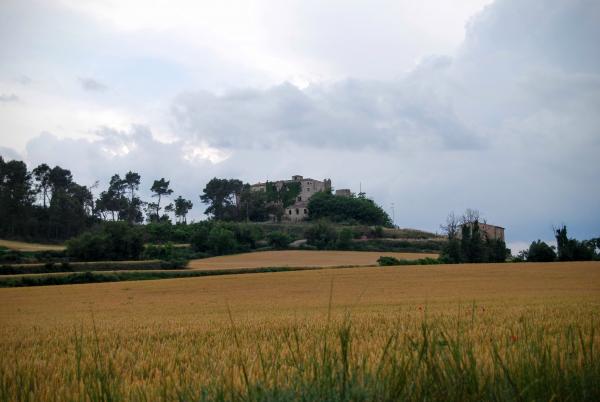 14.6.2015 Paisatge  Biure de Gaià -  Ramon Sunyer