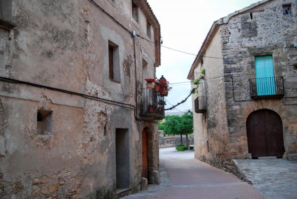 14.6.2015 carrer  Les Piles -  Ramon Sunyer