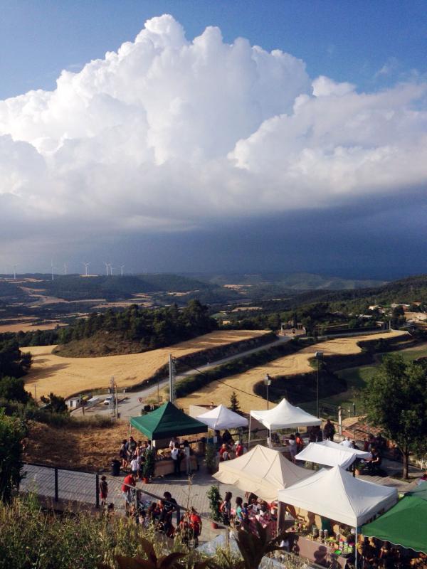 13.6.2015 - 5è Mercat de les espècies - Argençola - James McKinnell