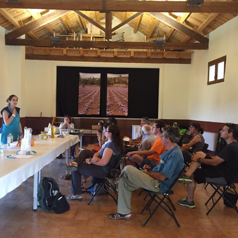 13.6.2015 - Taller de l'Astrid Barqué - Argençola - Mariona Miquel