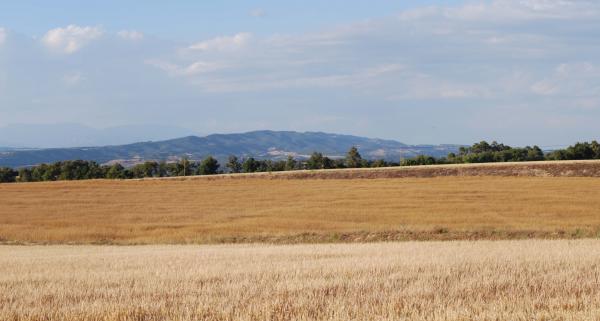 20.6.2015 Panoràmica de l'altiplà III  Ferran -  Ramon Sunyer