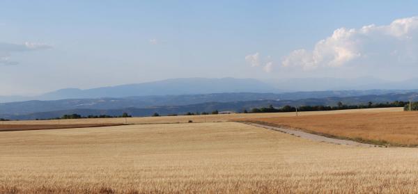 20.6.2015 Panoràmica de l'altiplà II  Ferran -  Ramon Sunyer