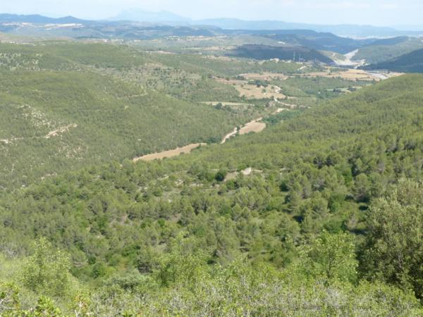 25 de Juny de 2015 Panoràmica del curs mig i baix del Torrent de La Coma, des de la Costa dels Marçans  Veciana -  Daniel Espejo Fraga