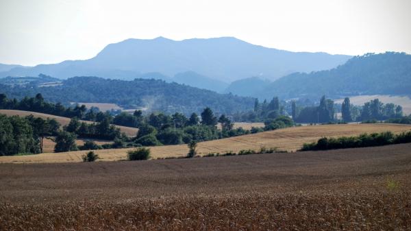 24.6.2015 El Montclar al fons  Valldeperes -  Ramon Sunyer