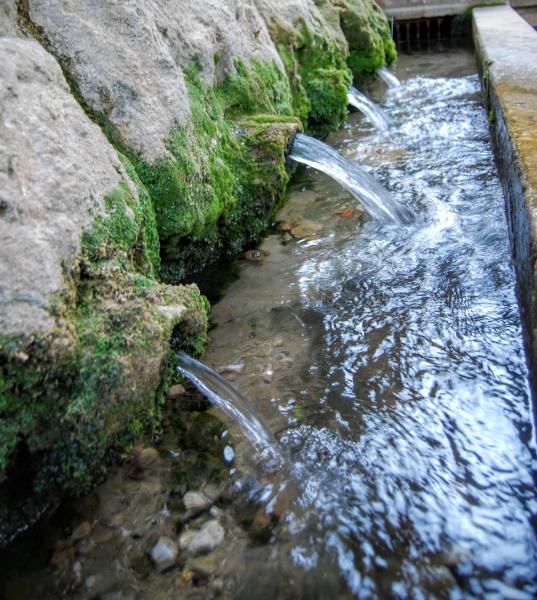 24.6.2015 Fonts de sant Magí  Rocamora i Sant Magí de la Brufaganya -  Ramon Sunyer