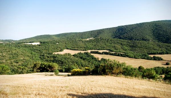 24.6.2015 Vista des de sant Magí  Rocamora i Sant Magí de la Brufaganya -  Ramon Sunyer