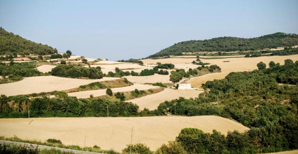 24.6.2015 Paisatge  Rocamora i Sant Magí de la Brufaganya -  Ramon Sunyer