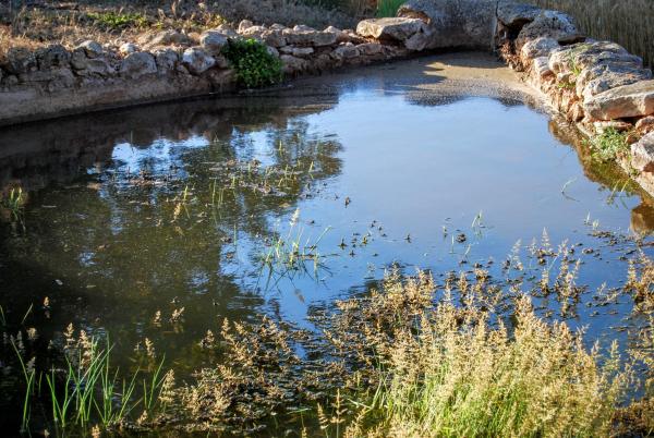 Space  Bassa de la font