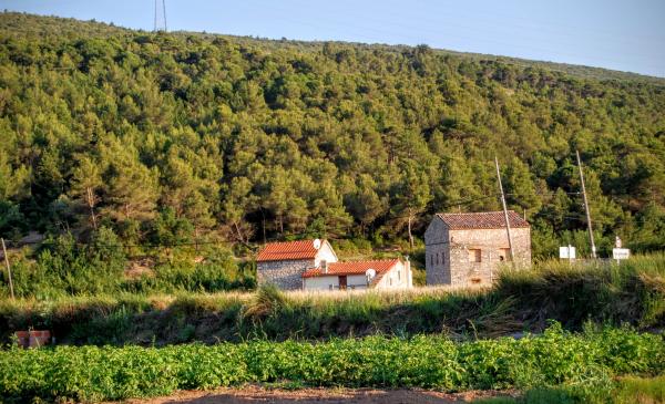 24.6.2015 vista del poble  Vallespinosa -  Ramon Sunyer