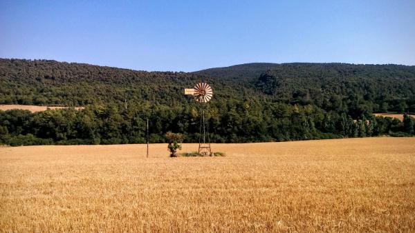 24.6.2015 Paisatge  Valldeperes -  Ramon Sunyer