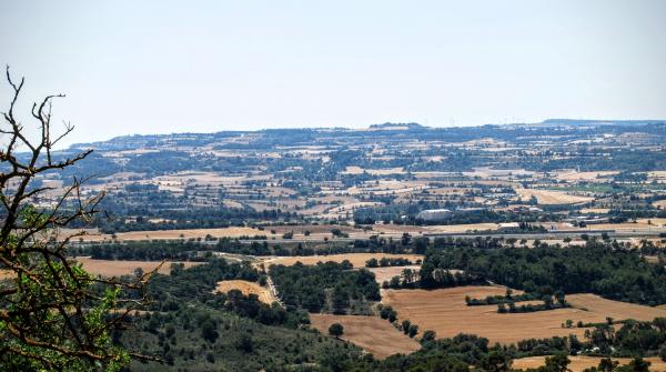 28.6.2015 paisatge  Montlleó -  Ramon Sunyer