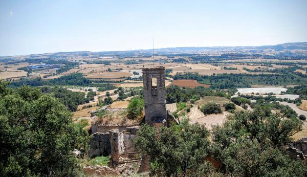 28.6.2015 Paisatge  Montlleó -  Ramon Sunyer