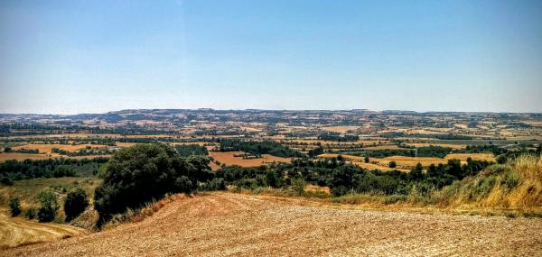 28.6.2015 Paisatge de la vall d'Ondara  Montlleó -  Ramon Sunyer