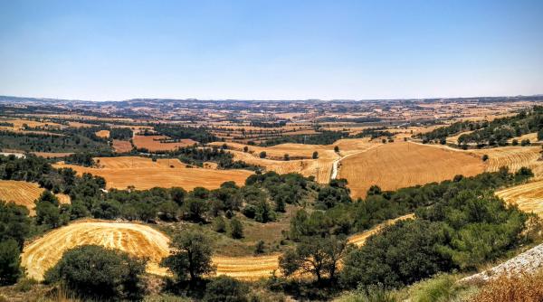 28.6.2015 Paisatge de la vall d'Ondara  Montlleó -  Ramon Sunyer