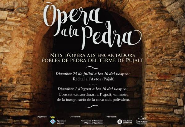 cartell Òpera a la Pedra 2015