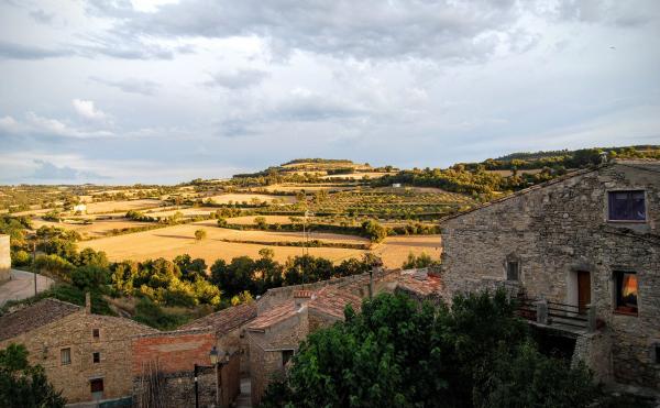 22.8.2015 poble  Vilagrasseta -  Ramon Sunyer