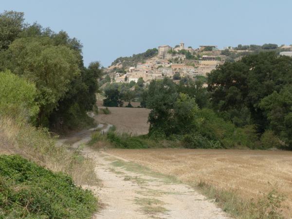 4.8.2015 Paisatge de Vergós Guerrejat des de Montpalau  Vergós Guerrejat -  Daniel Espejo Fraga