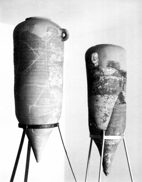 Àmfores ibèriques trobades al jaciment Pla de les Tenalles - La Móra Àmfores ibèriques trobades al jaciment Pla de les Tenalles - La Móra