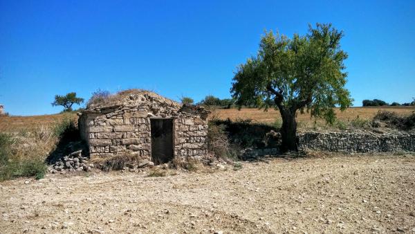 20 de Setembre de 2015 Cabana de la Vinya del Cisteller   Massoteres -  Ramon Sunyer